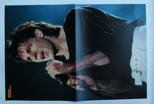 Rick springfield bravo poster - springfield,